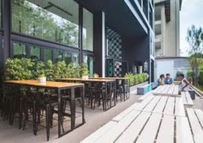 Blu Monkey Hub & Hotel Phuket photo 3