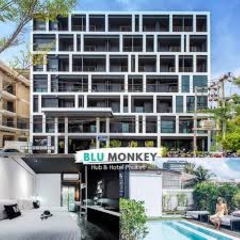 Blu Monkey Hub & Hotel Phuket photo 4