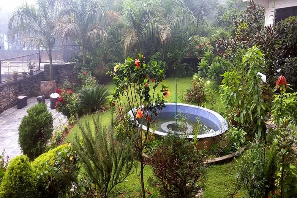 Dhole's Den photo 4