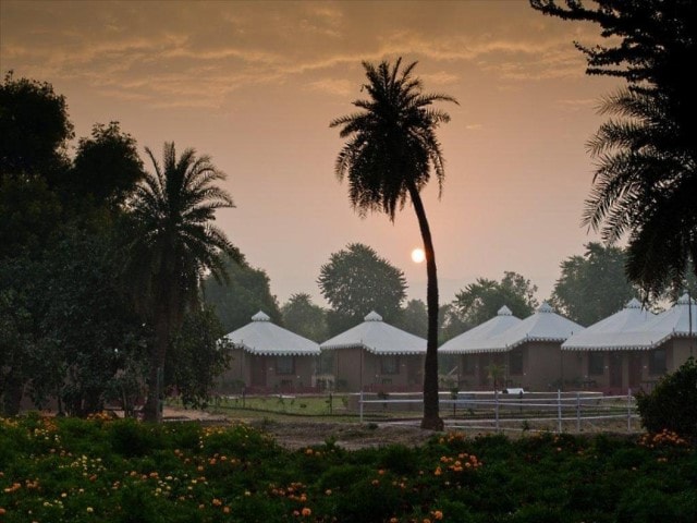 Lohana Village Resort - Pushkar photo 4