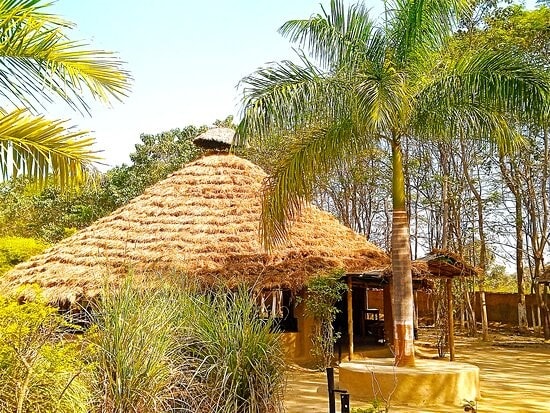 Mahua Kothi photo 3