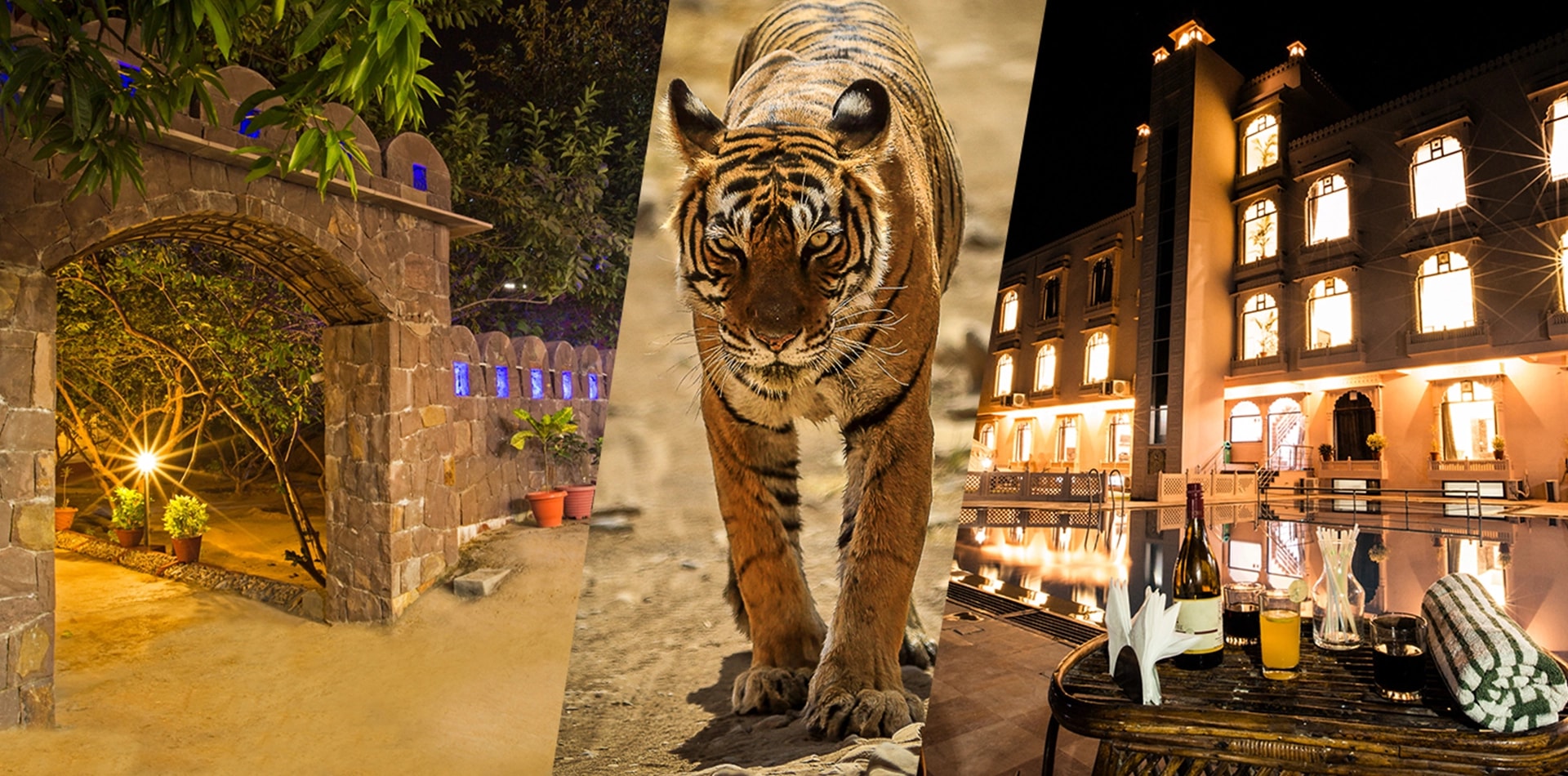 RANTHAMBORE NATIONAL RESORT - Ranthambore photo 4