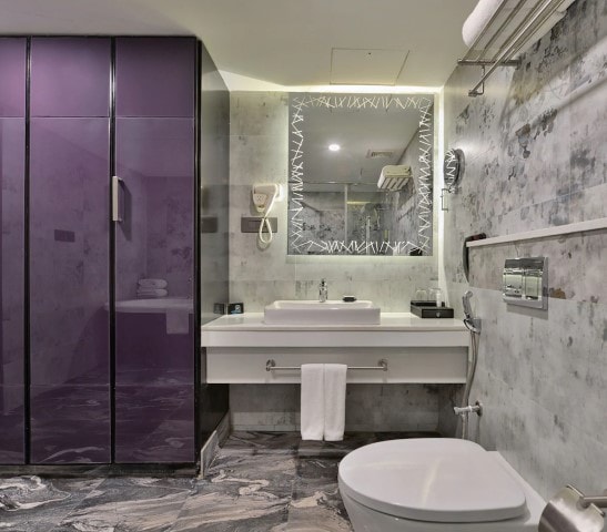 Regenta Central Antarim Hotel - Ahmedabad photo 4