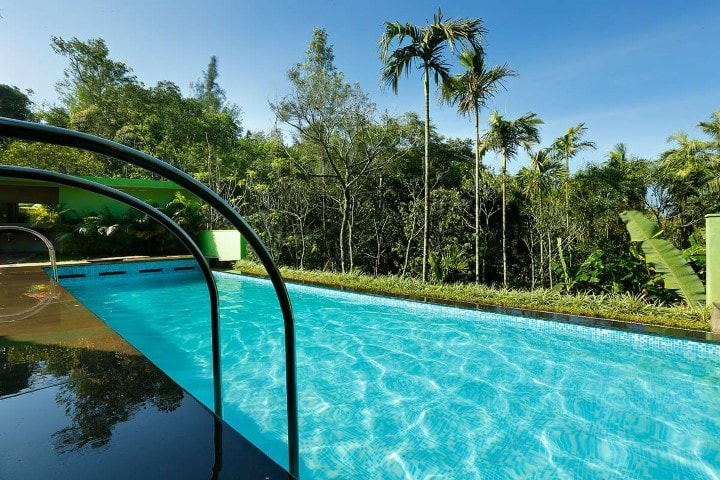 Spice Grove - Thekkady photo 3