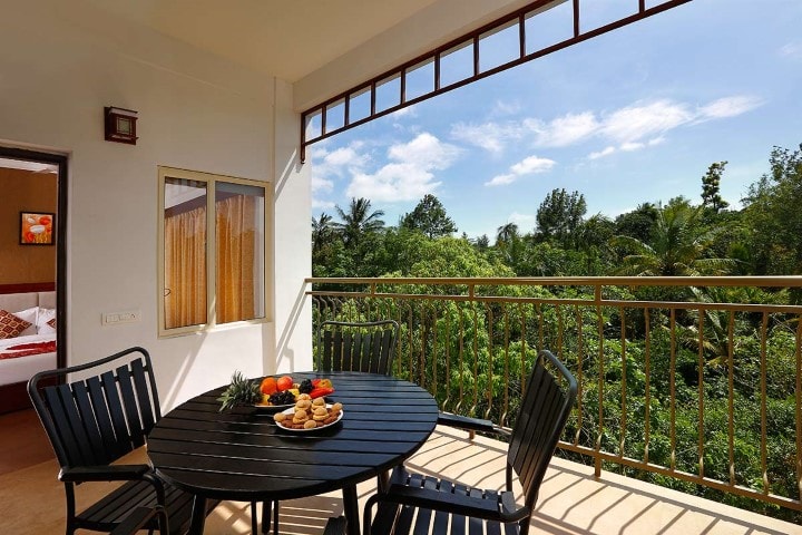 Spice Grove - Thekkady photo 4