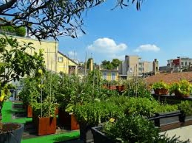 Urban Garden Hotel photo 4