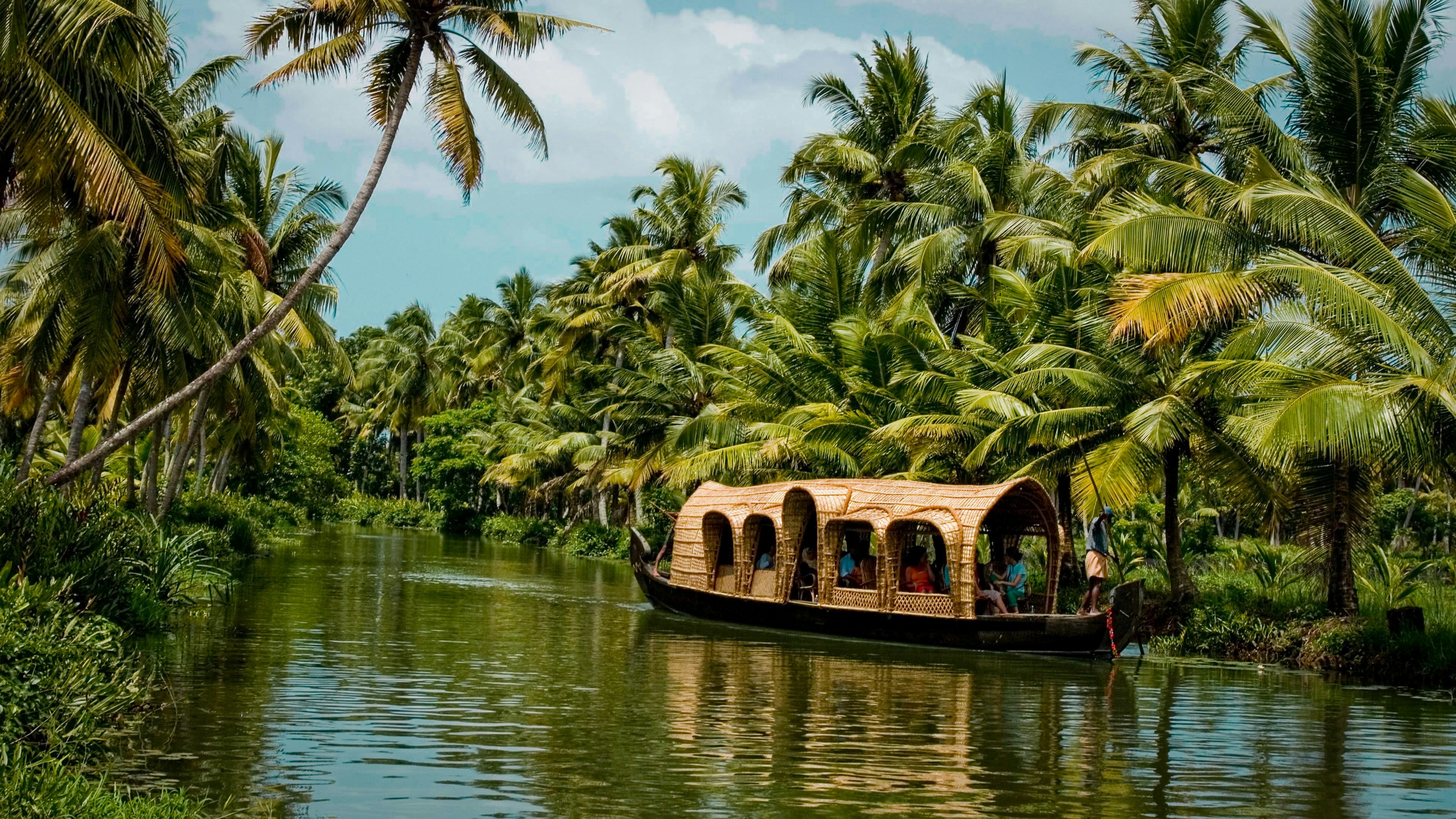 Kerala Backwaters, Mist Valleys & Ayurvedic Haven photo 2