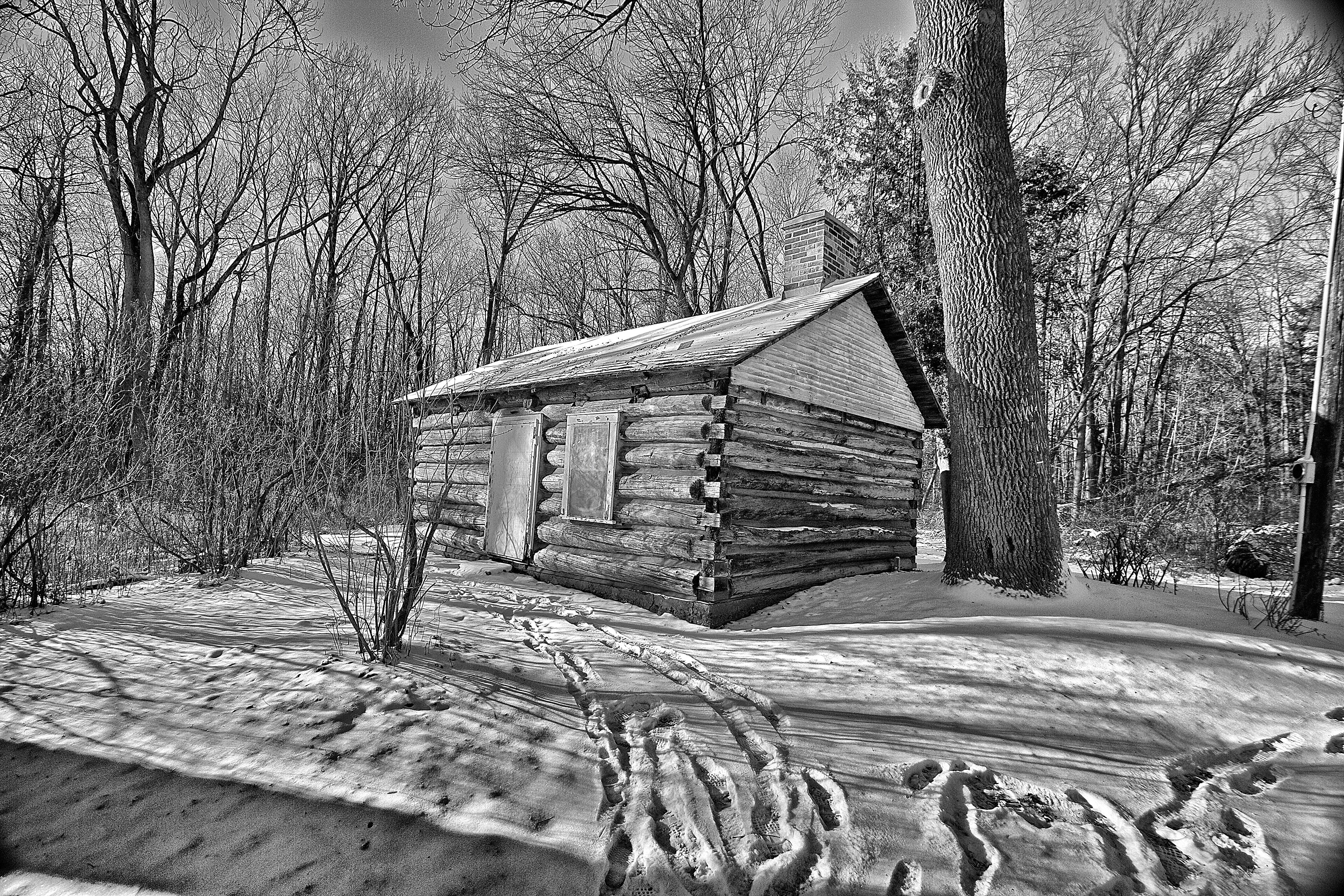 Cabins: Cozy Escapes
