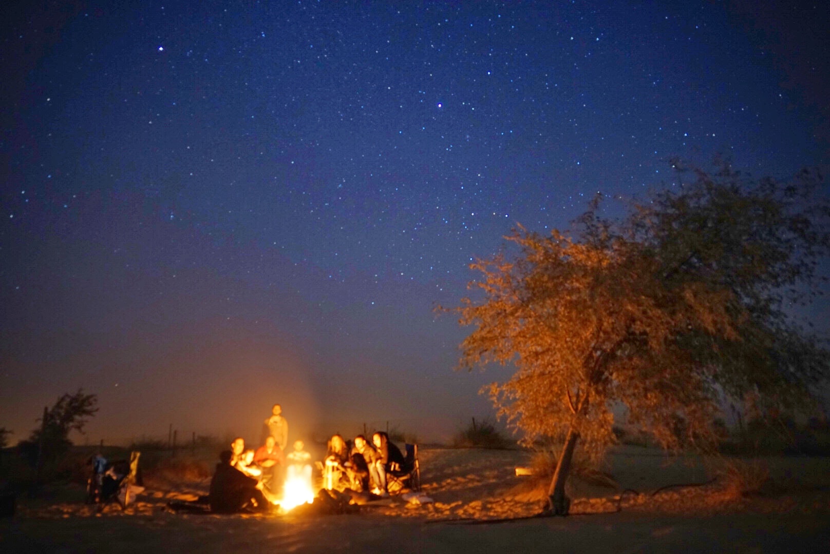 Camp Nights: Sleep Under the Stars
