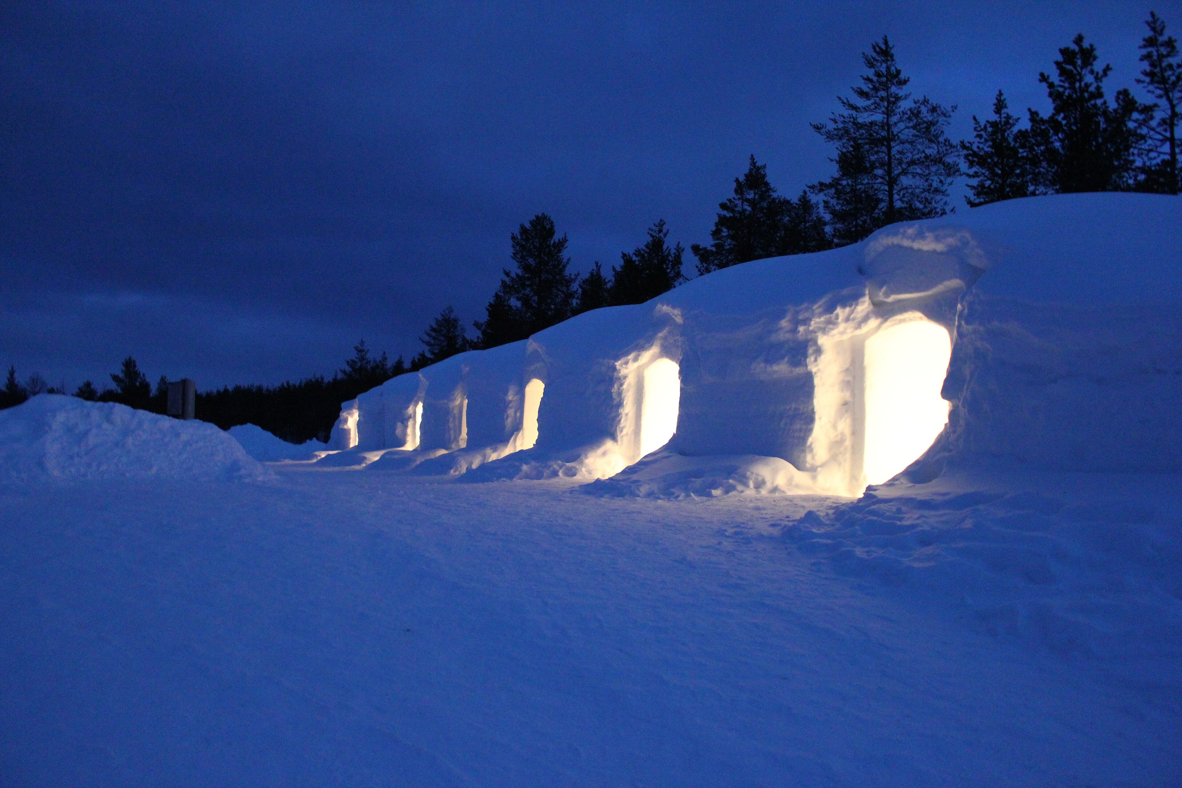 Igloos: Arctic Adventure