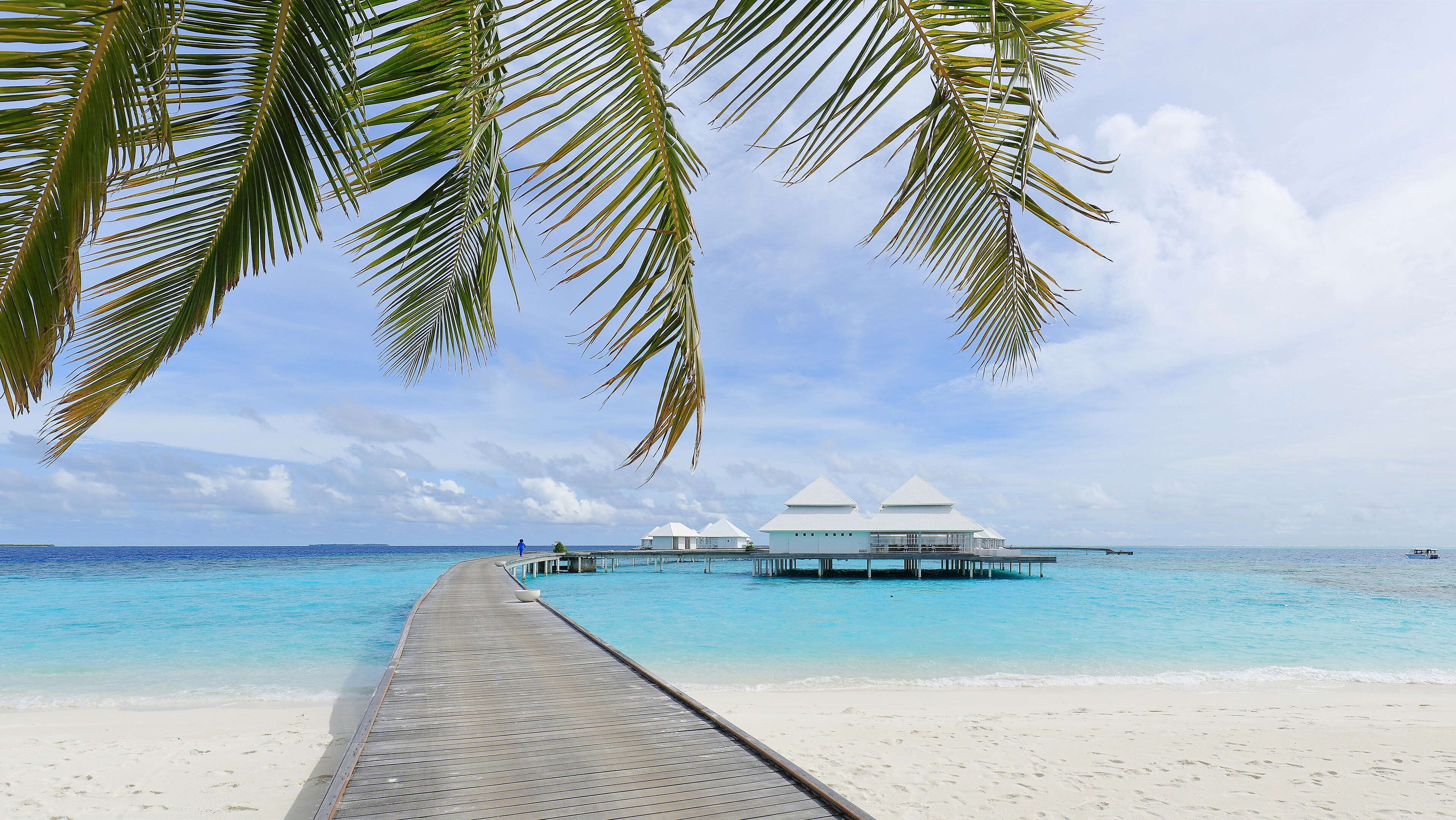 Overwater Bungalows: Ocean Paradise