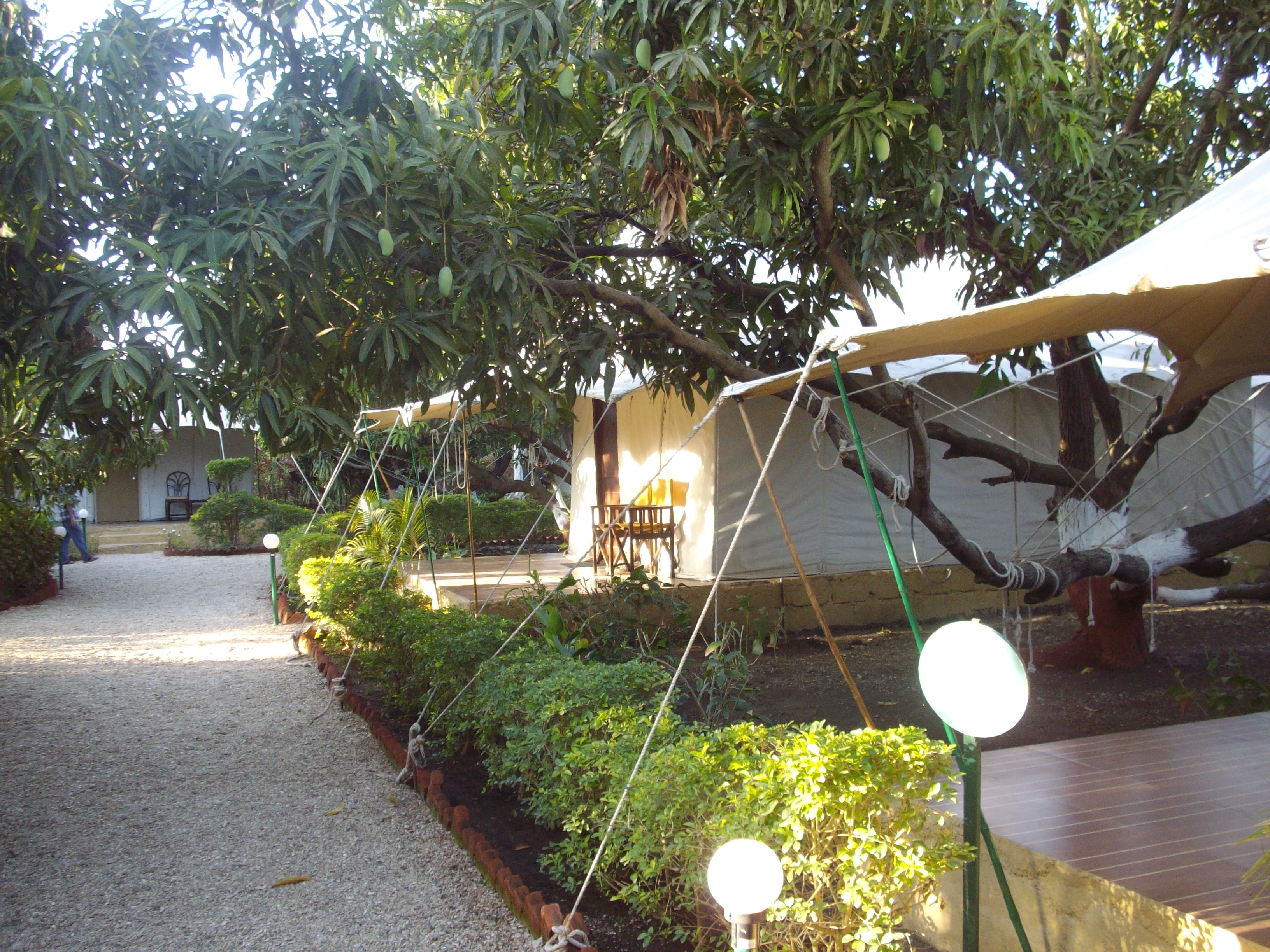 Tenthouses: Glamorous Camping