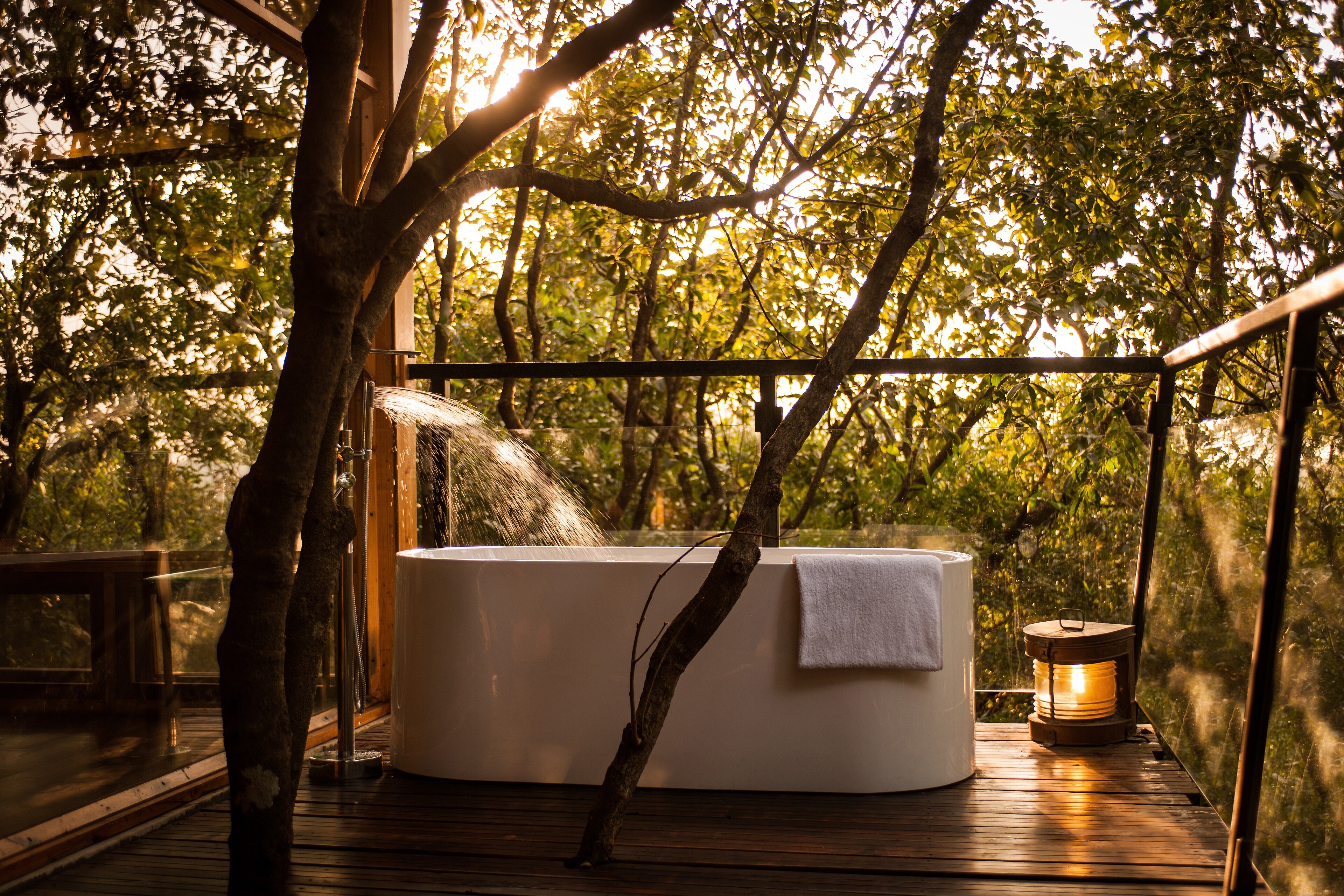 Treehouses: Stay Above the Forest