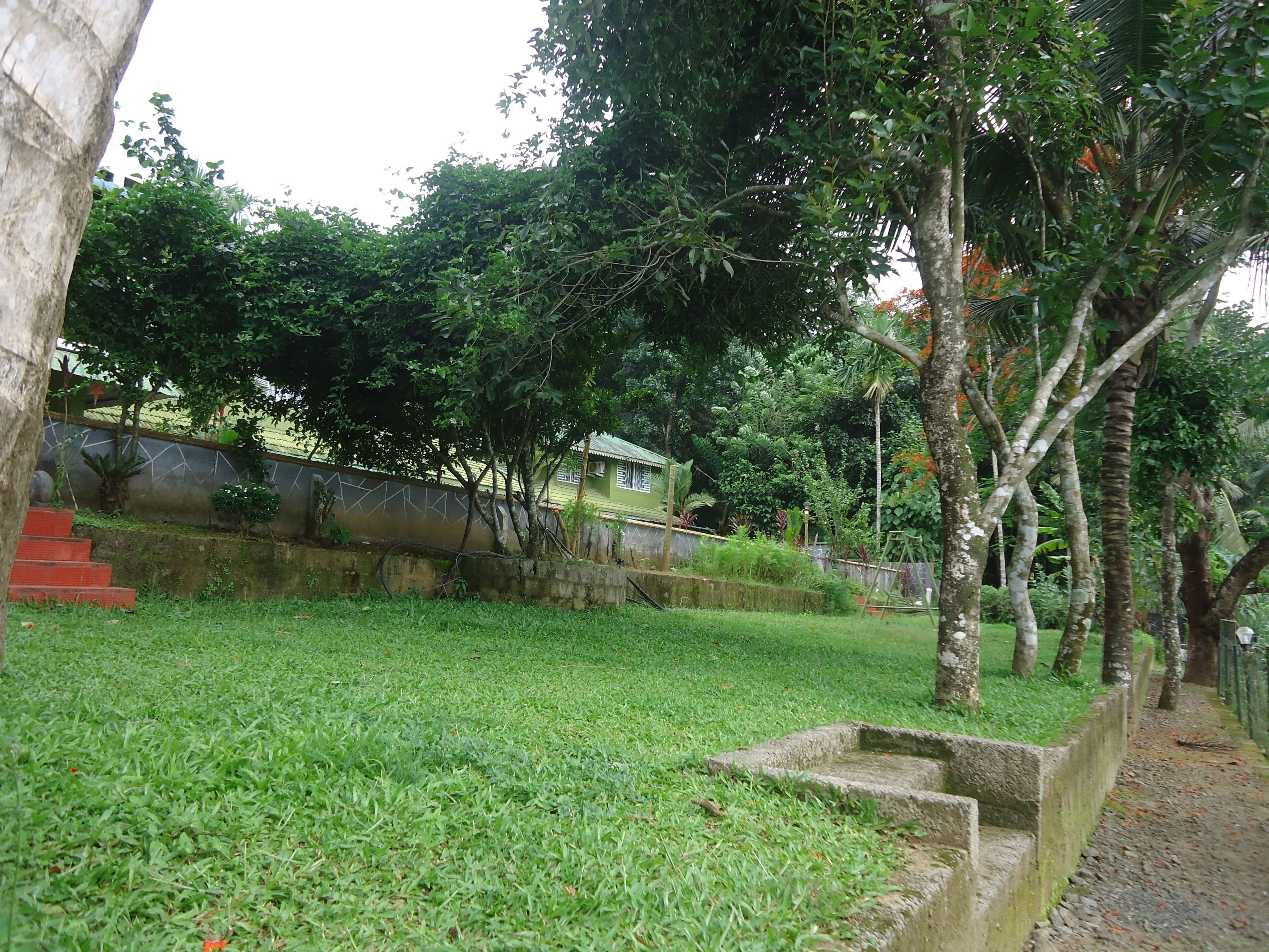 Wellness Retreats: Mind & Body Escape