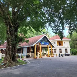 havelok