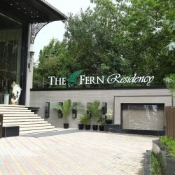 the fern